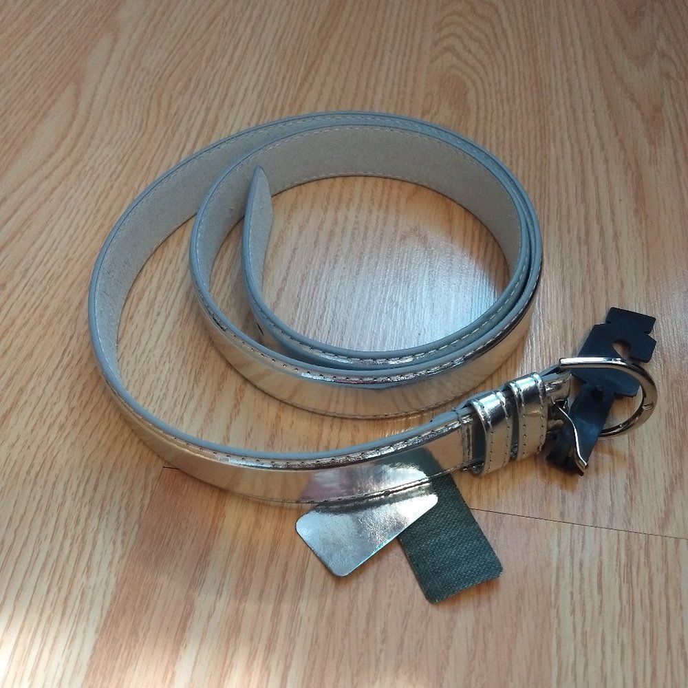 Metallic silver belt